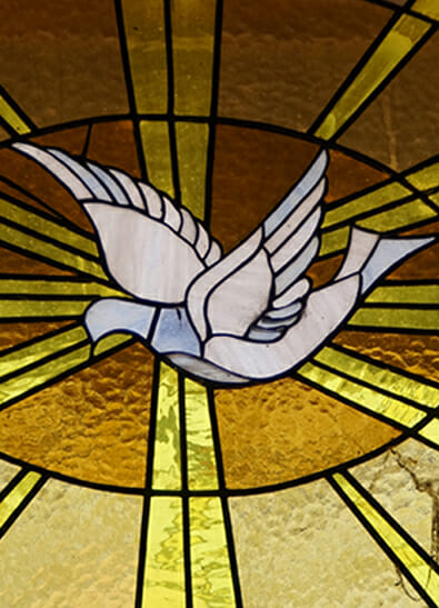 Stained glass window depicting a white dove